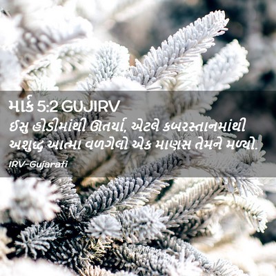 Picture 02 - માર્ક 5:2 GUJIRV - ઈસુ હોડીમાંથી - Bible Verse Picture