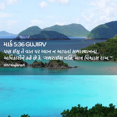 Picture 02 - માર્ક 5:36 GUJIRV - પણ ઈસુ તે વાત પર - Bible Verse Picture
