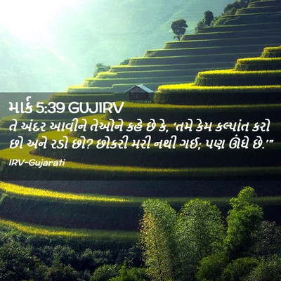 Picture 02 - માર્ક 5:39 GUJIRV - તે અંદર આવીને - Bible Verse Picture