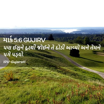 Picture 02 - માર્ક 5:6 GUJIRV - પણ ઈસુને દૂરથી - Bible Verse Picture