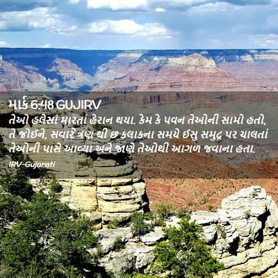 Picture 02 - માર્ક 6:48 GUJIRV - તેઓ હલેસાં મારતાં - Bible Verse Picture