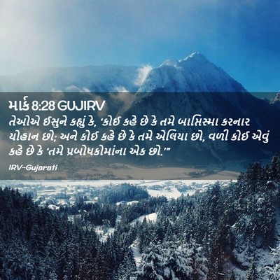 Picture 02 - માર્ક 8:28 GUJIRV - તેઓએ ઈસુને કહ્યું - Bible Verse Picture