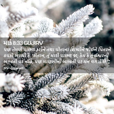 Picture 02 - માર્ક 8:33 GUJIRV - પણ તેમણે પાછળ - Bible Verse Picture