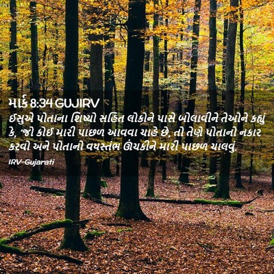 Picture 02 - માર્ક 8:34 GUJIRV - ઈસુએ પોતાના - Bible Verse Picture