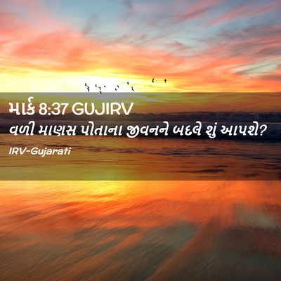 Picture 02 - માર્ક 8:37 GUJIRV - વળી માણસ પોતાના - Bible Verse Picture