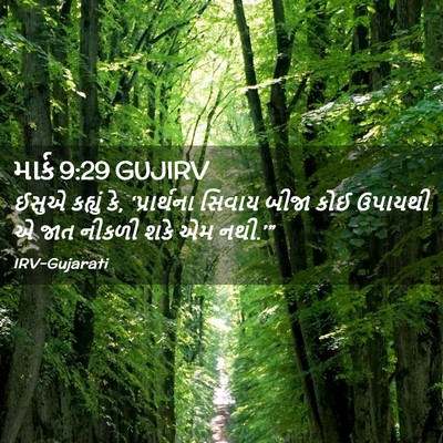 Picture 02 - માર્ક 9:29 GUJIRV - ઈસુએ કહ્યું કે, - Bible Verse Picture