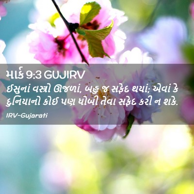 Picture 02 - માર્ક 9:3 GUJIRV - ઈસુનાં વસ્ત્રો - Bible Verse Picture