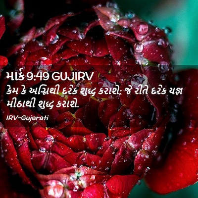 Picture 02 - માર્ક 9:49 GUJIRV - કેમ કે અગ્નિથી - Bible Verse Picture