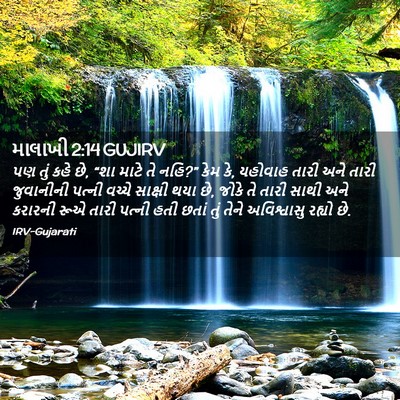 Picture 02 - માલાખી 2:14 GUJIRV - પણ તું કહે છે, “શા - Bible Verse Picture