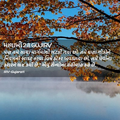 Picture 02 - માલાખી 2:8 GUJIRV - પણ તમે સાચા - Bible Verse Picture
