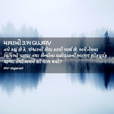 Picture 02 - માલાખી 3:14 GUJIRV - તમે કહ્યું છે કે, - Bible Verse Picture