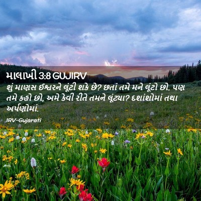 Picture 02 - માલાખી 3:8 GUJIRV - શું માણસ ઈશ્વરને - Bible Verse Picture