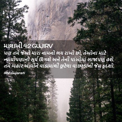 Picture 02 - માલાખી 4:2 GUJIRV - પણ તમે જેઓ મારા - Bible Verse Picture
