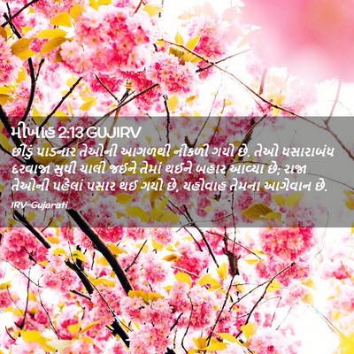 Picture 02 - મીખાહ 2:13 GUJIRV - છીંડું પાડનાર - Bible Verse Picture