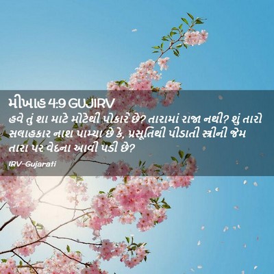 Picture 02 - મીખાહ 4:9 GUJIRV - હવે તું શા માટે - Bible Verse Picture