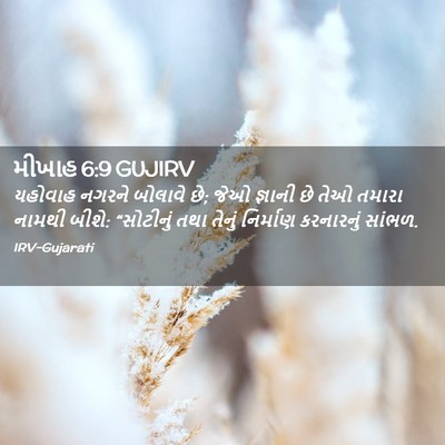 Picture 02 - મીખાહ 6:9 GUJIRV - યહોવાહ નગરને - Bible Verse Picture