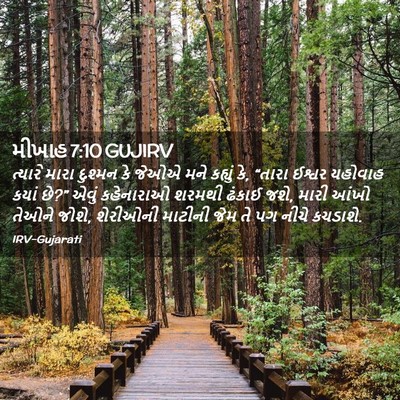 Picture 02 - મીખાહ 7:10 GUJIRV - ત્યારે મારા - Bible Verse Picture
