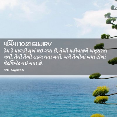 Picture 02 - યર્મિયા 10:21 GUJIRV - કેમ કે પાળકો મૂર્ખ - Bible Verse Picture
