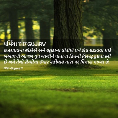 Picture 02 - યર્મિયા 11:17 GUJIRV - ઇઝરાયલના લોકોએ - Bible Verse Picture