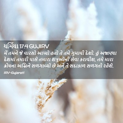 Picture 02 - યર્મિયા 17:4 GUJIRV - મેં તમને જે વારસો - Bible Verse Picture