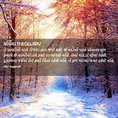 Picture 02 - યર્મિયા 17:8 GUJIRV - તે પાણીની પાસે - Bible Verse Picture