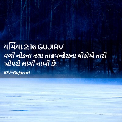 Picture 02 - યર્મિયા 2:16 GUJIRV - વળી નોફના તથા - Bible Verse Picture