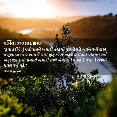 Picture 02 - યર્મિયા 21:2 GUJIRV - “કૃપા કરીને તું - Bible Verse Picture