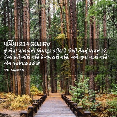 Picture 02 - યર્મિયા 23:4 GUJIRV - હું એવા પાળકોની - Bible Verse Picture