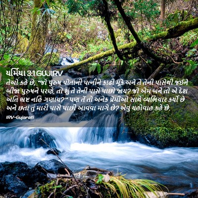 Picture 02 - યર્મિયા 3:1 GUJIRV - તેઓ કહે છે, “જો - Bible Verse Picture