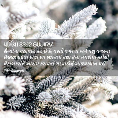 Picture 02 - યર્મિયા 33:12 GUJIRV - સૈન્યોના યહોવાહ - Bible Verse Picture