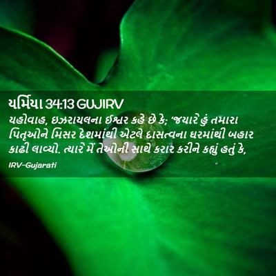 Picture 02 - યર્મિયા 34:13 GUJIRV - યહોવાહ, ઇઝરાયલના - Bible Verse Picture