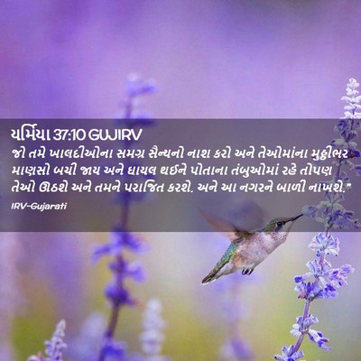 Picture 02 - યર્મિયા 37:10 GUJIRV - જો તમે ખાલદીઓના - Bible Verse Picture