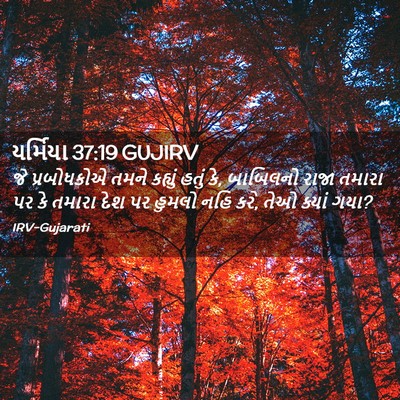 Picture 02 - યર્મિયા 37:19 GUJIRV - જે પ્રબોધકોએ તમને - Bible Verse Picture
