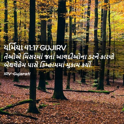 Picture 02 - યર્મિયા 41:17 GUJIRV - તેઓએ મિસરમાં જતાં - Bible Verse Picture