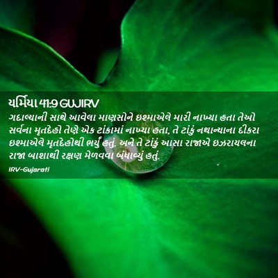 Picture 02 - યર્મિયા 41:9 GUJIRV - ગદાલ્યાની સાથે - Bible Verse Picture