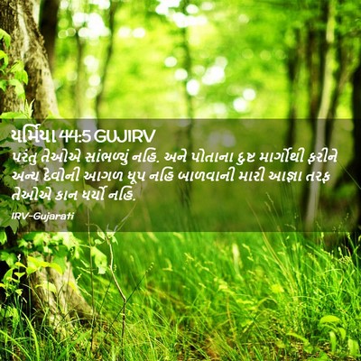Picture 02 - યર્મિયા 44:5 GUJIRV - પરંતુ તેઓએ - Bible Verse Picture