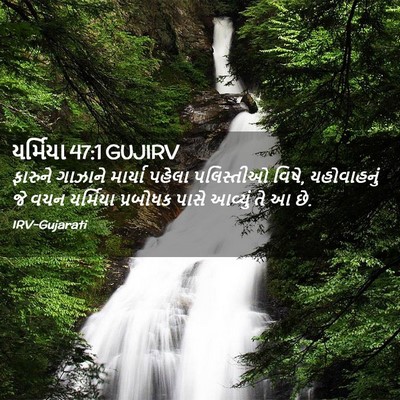 Picture 02 - યર્મિયા 47:1 GUJIRV - ફારુને ગાઝાને - Bible Verse Picture