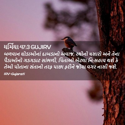 Picture 02 - યર્મિયા 47:3 GUJIRV - બળવાન ઘોડાઓનાં - Bible Verse Picture