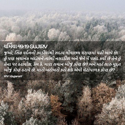 Picture 02 - યર્મિયા 49:19 GUJIRV - જુઓ, સિંહ યર્દનની - Bible Verse Picture