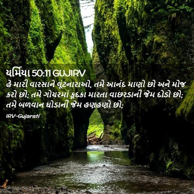 Picture 02 - યર્મિયા 50:11 GUJIRV - હે મારી વારસાને - Bible Verse Picture