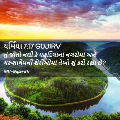 Picture 02 - યર્મિયા 7:17 GUJIRV - તું જોતો નથી કે - Bible Verse Picture