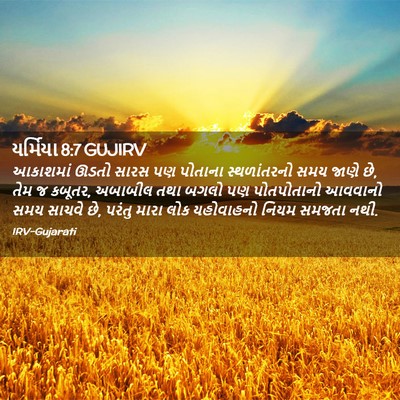 Picture 02 - યર્મિયા 8:7 GUJIRV - આકાશમાં ઊડતો સારસ - Bible Verse Picture