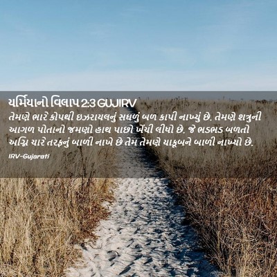 Picture 02 - યર્મિયાનો વિલાપ 2:3 GUJIRV - તેમણે ભારે કોપથી - Bible Verse Picture