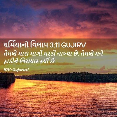 Picture 02 - યર્મિયાનો વિલાપ 3:11 GUJIRV - તેમણે મારા માર્ગો - Bible Verse Picture
