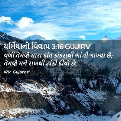 Picture 02 - યર્મિયાનો વિલાપ 3:16 GUJIRV - વળી તેમણે મારા - Bible Verse Picture