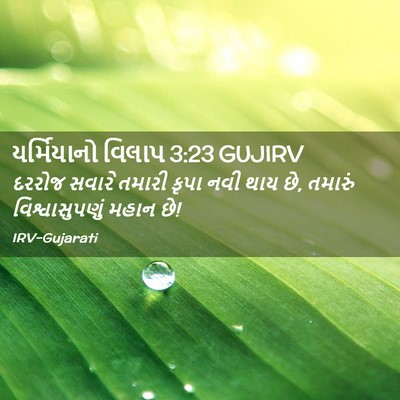 Picture 02 - યર્મિયાનો વિલાપ 3:23 GUJIRV - દરરોજ સવારે તમારી - Bible Verse Picture