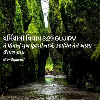 Picture 02 - યર્મિયાનો વિલાપ 3:29 GUJIRV - તે પોતાનું મુખ - Bible Verse Picture