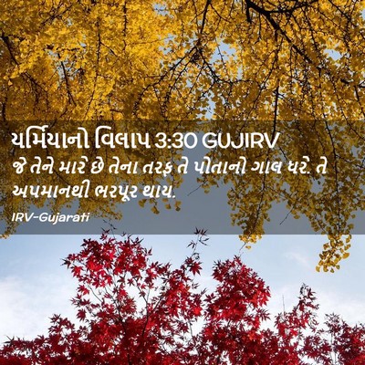 Picture 02 - યર્મિયાનો વિલાપ 3:30 GUJIRV - જે તેને મારે છે - Bible Verse Picture