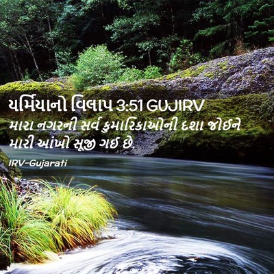 Picture 02 - યર્મિયાનો વિલાપ 3:51 GUJIRV - મારા નગરની સર્વ - Bible Verse Picture