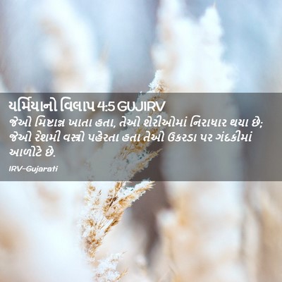 Picture 02 - યર્મિયાનો વિલાપ 4:5 GUJIRV - જેઓ મિષ્ટાન્ન - Bible Verse Picture